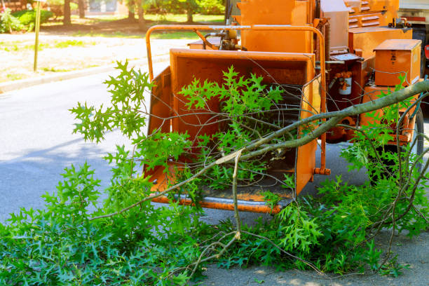 Best Artificial Turf Installation  in California, PA